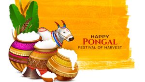 Pongal 2026: What The Four Days Of The Festival Reveal About Food, Work And Gratitude