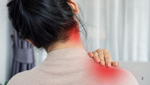 Knots, Aches, and Referred Pain: The Fascial Pain Syndrome Nobody Warned You About