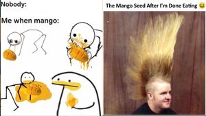 Mango Memes 2026: The ‘King Of Fruits’ In India Is Basically Chaos, Cravings, Sticky Fingers And Family Drama 