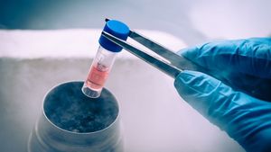 Stem Cell Banking Explained: What Every Expecting Parent Should Know