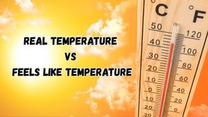 Real Temperature vs Feels Like Temperature: What's The Difference And Why It Matters