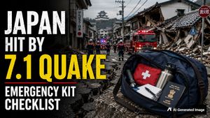 7.1-Magnitude Earthquake Strikes Japan: 10 Emergency Go-Bag Essentials Every Home Should Have