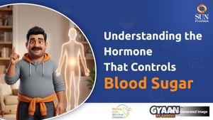 How Does Insulin Work? Understanding The Hormone That Controls Blood Sugar 