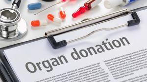 Can Any Blood Group Donate Organs to Any Patient? A Transplant Expert Explains