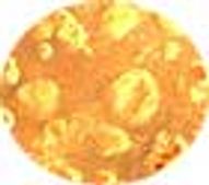 ಸಹೃದಯರಿಗೊಪ್ಪುವ ಕೊತ್ತ೦ಬರಿ ನಿಪ್ಪಟ್ಟು