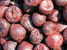 ಸಿಹಿ ಅಡಿಕೆ ಮಾಡುವ ವಿಧಾನ ತಿಳಿಸಿರಿ