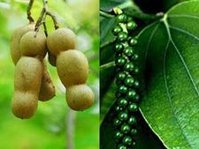    ಕಾಳುಮೆಣಸು ಹುಣಿಸೆಹಣ್ಣಿನ ಹುಳಿ