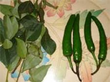    ಕರಿಬೇವಿನ ಹಸಿ ಹಸಿ ಚಟ್ನಿ ರೆಸಿಪಿ