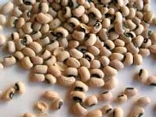 ಬಲು ಪೌಷ್ಟಿಕ ಅಲಸಂದೆ ರೊಟ್ಟಿ