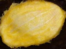 ಮಂಗಳೂರು ಮಳೆ ಮದ್ದು : ಮಾವಿನ ಓಟೆ ಸಾರು