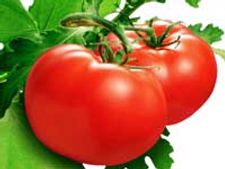 ಅಳಿಯನಿಗೆ ಉಳಿಯದ ಸಾರು