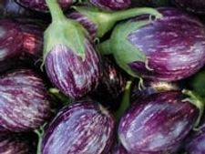 ಬಸುಮತಿ ಬದನೇಕಾಯಿ ಪಲಾವ್