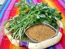 ಭಕ್ಕರಿಯ ಪ್ರಿಯತಮೆ ಮಾಟವಾಡಿ ಪಲ್ಯ