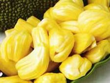 ಮಲ್ಲುಗಳಿಗೆ ಹಬ್ಬ ಮಲ್ಲೇಶನಿಗೆ ಪಾಯಸ