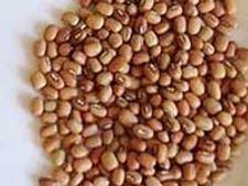 ಉತ್ತರ ಕನ್ನಡದ ಅಲಸಂದೆ ರೊಟ್ಟಿ ಸವಿಯೋಣ ಬನ್ನಿ