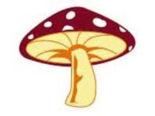 ಗೋಡಂಬಿ ಅಣಬೆ ಪಲ್ಯ ಮತ್ತು ಬಿಸಿಬಿಸಿ ಆಮ್ಲೆಟ್‌!