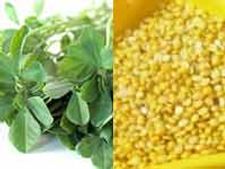            ಹೆಸರುಬೇಳೆ ಹಾಗು ಮೆಂತೆ ಸೊಪ್ಪಿನ ಪಲ್ಯ