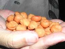 ಉಂಡ್ಲಿಗೆ : ಮಲೆನಾಡ ಸಾಂಪ್ರದಾಯಿಕ ತಿಂಡಿ