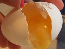 ದಿಕ್ಕೆಡಿಸಿ ದಿಕ್ಕಾಪಾಲಾದ ಆಮ್ಲೆಟ್ ಘಮಲು