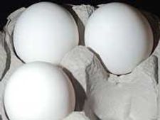 ಎಗ್ ದುನಿಯಾ : ಮೊಟ್ಟೆಮನೆಗೆ ಸ್ವಾಗತ