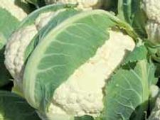 ಹೂಕೋಸಿನ ಕುರ್ಮಾ