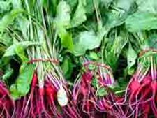 ನಮ್ಮನೇಲಿ ದಂಟಿನಸೊಪ್ಪಿನ ಪಲ್ಯ