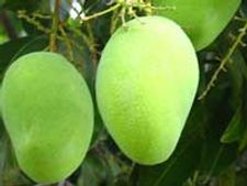 ವೆರಿಸಿಂಪಲ್ ಮಾವಿನಕಾಯಿ ಚಟ್ನಿ