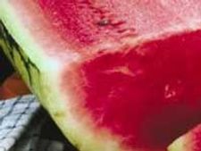 ಕಲ್ಲಂಗಡಿಯೇ ಹೇಳಿಕೊಟ್ಟ ಸಿಪ್ಪೆಯ ಪಲ್ಯ