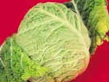 ತೂಕವಿಳಿಸಬೇಕೆ? ಎಲೆಕೋಸು ಸೂಪ್ ಕುಡಿಯಿರಿ