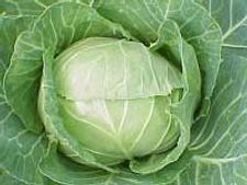 ಭಿಡೆ ಇಲ್ಲದೆ ತಿನ್ನಿ ಎಲೆಕೋಸಿನ ಪತ್ರೊಡೆ