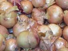 ನಮ್ಮ ಈರುಳ್ಳಿ ಸಾಂಬಾರ್ ಕದ್ದವರಾರು?