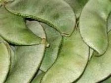 ರೊಟ್ಟಿ ಬೊಂಬಾಟಾಗಿದೆ ಬೊಂಬಾಟಾಗಿದೆ!