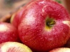 ಸೇಬು ಸೂಪ್ ಕುಡಿಯಿರಿ, ಸೇಬಿನಂತಾಗಿರಿ 