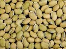 ಚಳಿಗಾಲದ ಸೊಗಡು ಅವರೆಕಾಳಿನ ಜನ್ಮ ರಹಸ್ಯ