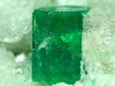 ಹಸನಾಗಲಿ ಆರೋಗ್ಯ ಹಸಿರು ಬಣ್ಣದಿಂದ