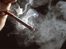 ಷಂಡತನ ಮಾರ್ಡನ್ ಲೈಫ್ ನ ಕೊಡುಗೆ