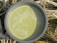 ಬೇವಿನ ಜ್ಯೂಸ್ ಕುಡಿಯುವುದು ಹೇಗೆ?