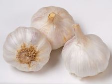 ಬೆಳ್ಳುಳ್ಳಿ ಧೂಮಪಾನಿಗಳಲ್ಲಿನ ಗಡ್ಡೆಗಳ ನಾಶಿನಿ