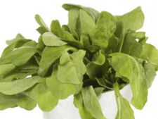 ಕ್ಯಾನ್ಸರ್‌ಗೆ ತಡೆಗೋಡೆಯೊಡ್ಡುವ ಹಸಿರು ತರಕಾರಿ