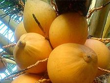 ನೀರಿನ ಬದಲಿಗೆ ಸೇವಿಸಬಹುದಾದ 5 ಪಾನೀಯಗಳು