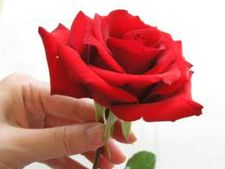 ಪ್ರೀತಿಯೆದುರಲ್ಲಿ ಕೊನೆಗೂ ಗೆದ್ದದ್ದು ಸ್ನೇಹವೇ