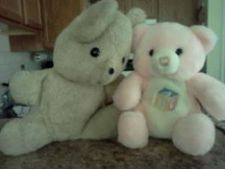 ಪ್ರೀತಿಯ ಟಿಡ್ಡಿ ಬೇರ್ ಶುಚಿಯಾಗಿದ್ದರೆ ಚೆಂದ