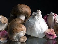 ರೋಗ ನಿರೋಧಕ ಶಕ್ತಿ ಹೆಚ್ಚಿಸುವ ಆಹಾರಗಳು