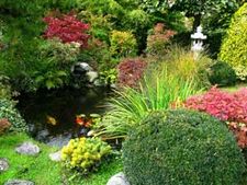 ಹಾವು ಮುಕ್ತ ಗಾರ್ಡನ್ ಗಾಗಿ ಕೆಲ ಸಲಹೆಗಳು