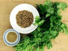 ಕೊತ್ತಂಬರಿಯಲ್ಲಿರುವ ಆರೋಗ್ಯಕರ ಗುಣಗಳು