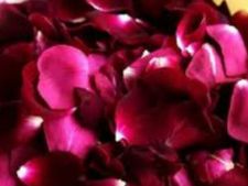 ಗುಲ್ಕನ್‌ನಿಂದ ಆರೋಗ್ಯಕ್ಕೆ 10 ಪ್ರಯೋಜನಗಳು 