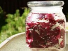 ಅನೇಕ ರೋಗಗಳಿಗೆ ಪರಿಹಾರ: ಗುಲ್ಕನ್