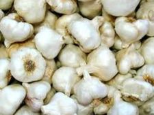 ಬೆಳ್ಳುಳ್ಳಿಯಲ್ಲಿದೆ ಹಲವು ಕಾಯಿಲೆಗೆ ಮದ್ದು 