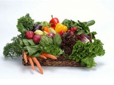 ಮೂಲವ್ಯಾಧಿ ತರುವ ಪ್ರಮುಖ ಅಂಶಗಳಿವು!