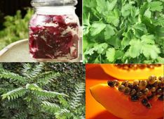 ಮೂಲವ್ಯಾಧಿ ಗುಣವಾಗಲು ಪಾಲಿಸಲೇಬೇಕಾದ ಪಥ್ಯ